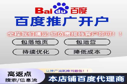 百度竞价包年推广效果：行业领先企业的成功之道